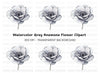 Anemone Clipart Bundle