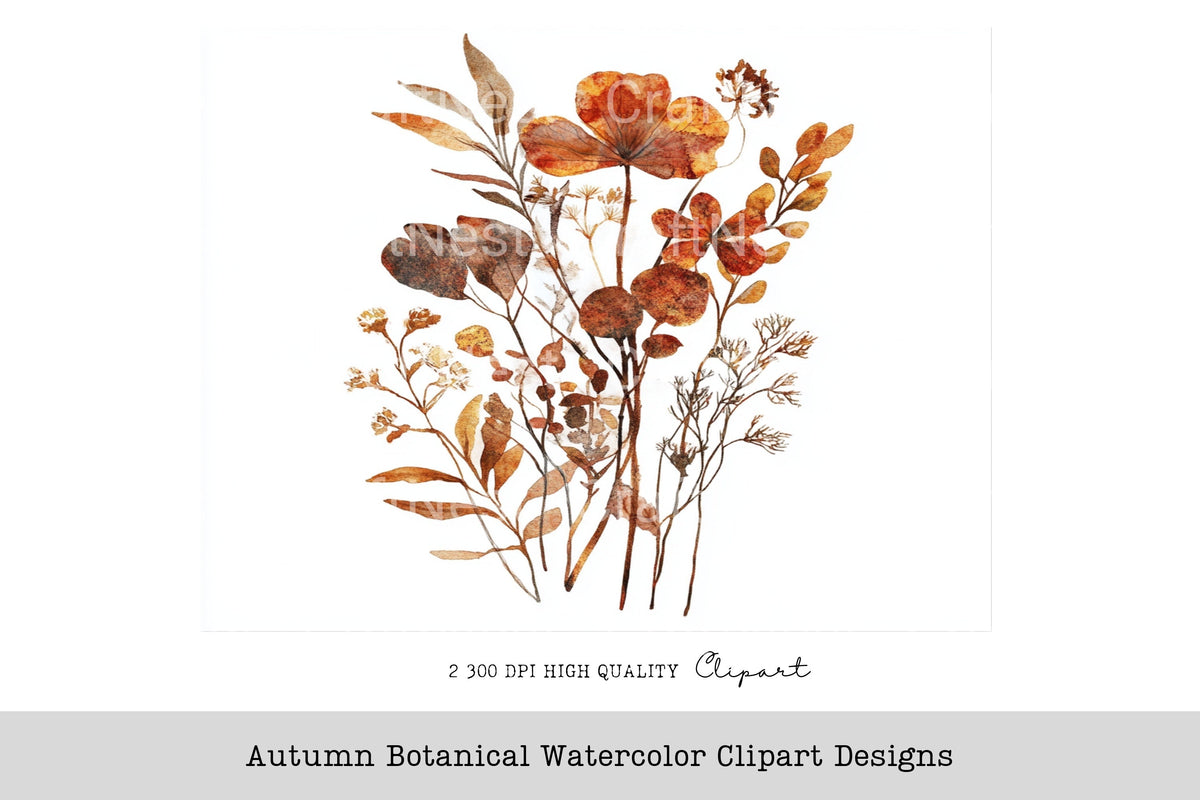 Autumn Botanical Designs Clipart Bundle