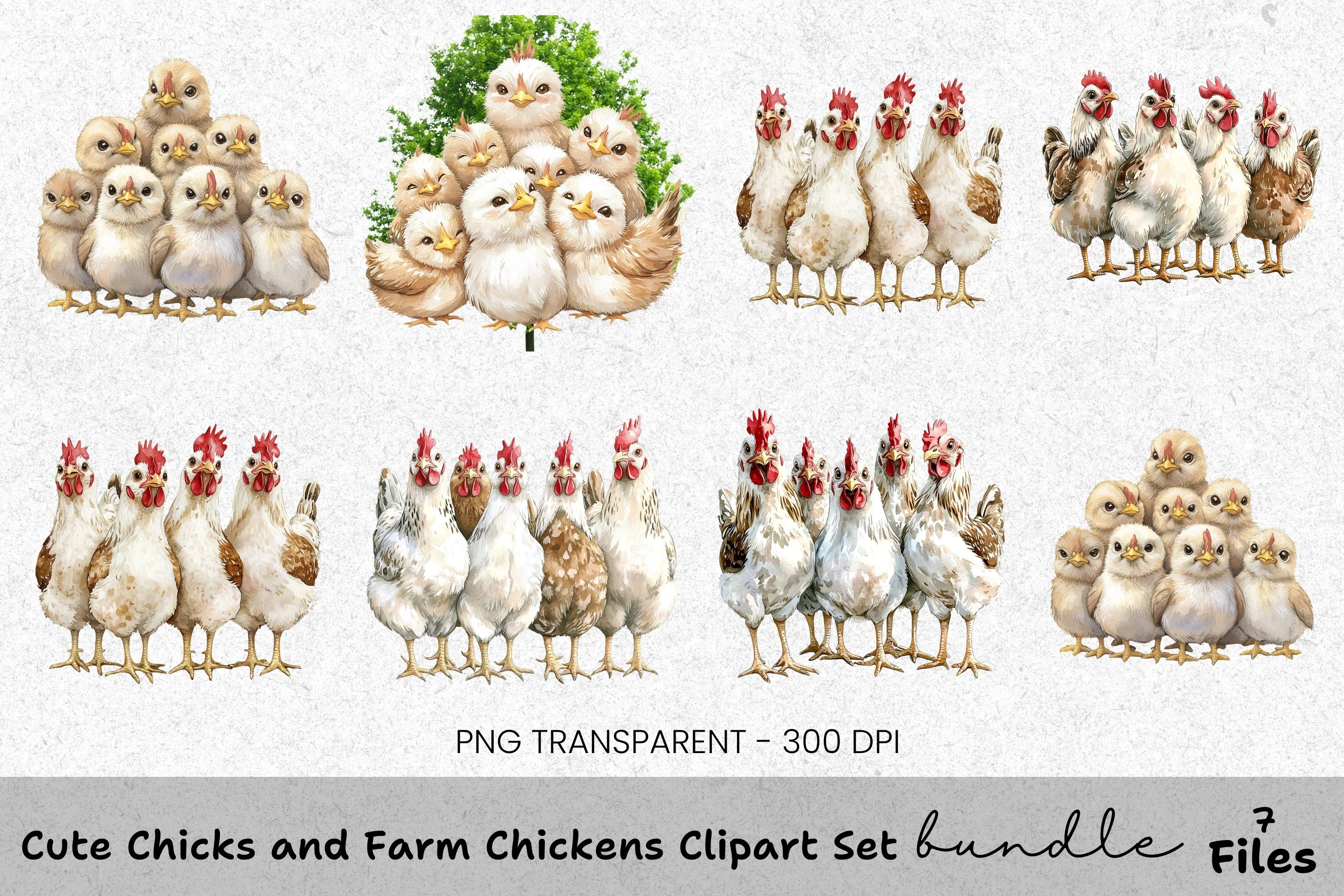 Cute Chicks and Farm Chickens Clipart Bundle