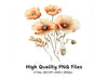 Poppy Clipart Bundle