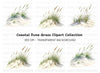 Beach Dune Grass Sand Clipart Bundle