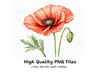 Vibrant Red Poppy Clipart Bundle