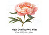 Peony Clipart Bundle