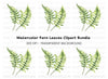 Fern Leaves Clipart Bundle