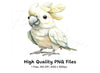 Cute White Cockatoo Clipart Bundle