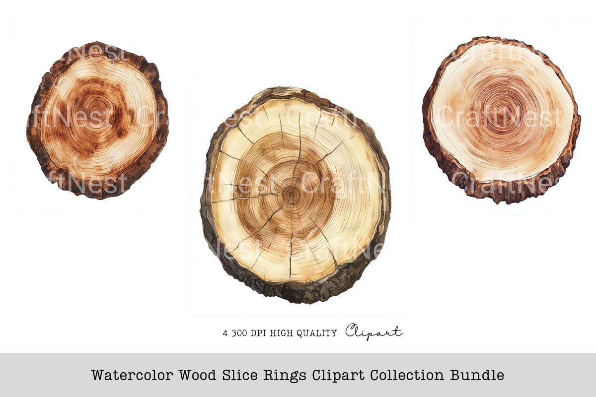 Wood Slice Rings Clipart Bundle