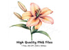 Vibrant Lily Flower Clipart Bundle