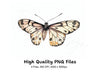 Monochromatic Butterfly Clipart Bundle