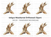 Rustic Driftwood Branch Clipart Bundle