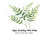 Delicate Fern Clipart Bundle
