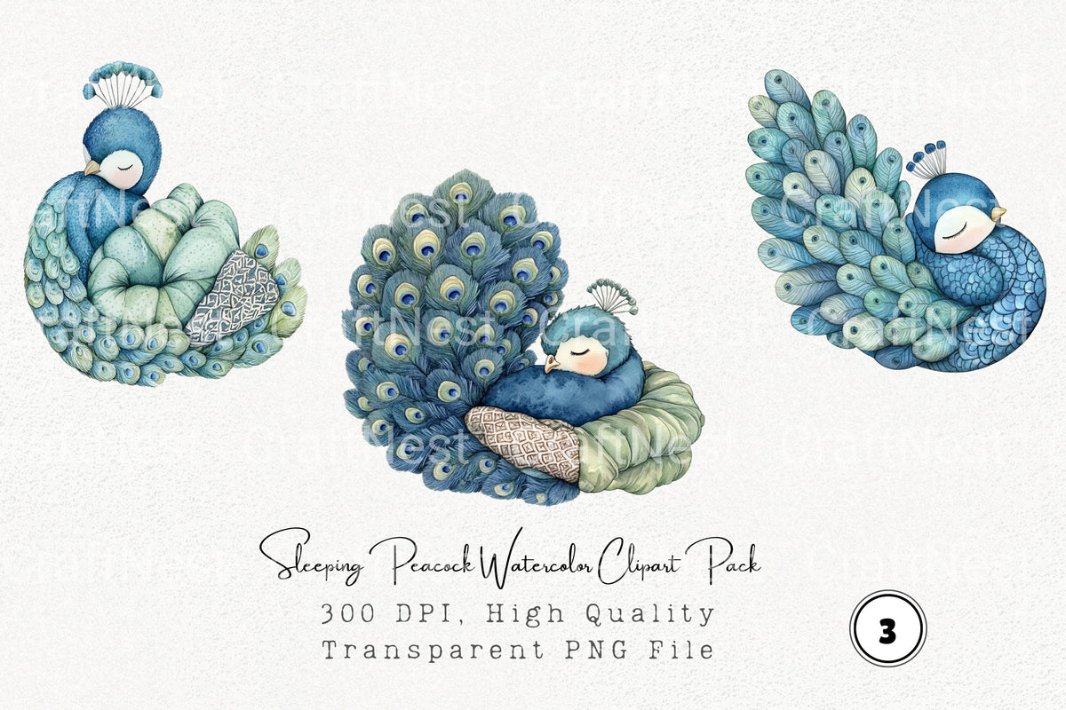 Sleeping Peacock Clipart Bundle