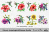 Vibrant Hummingbird Blossom Clipart Bundle