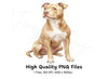 Sitting Pitbull Dog Clipart Bundle
