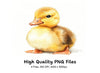 Cute Fluffy Duckling Clipart Bundle