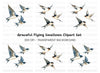 Graceful Swallows Flying Clipart Bundle