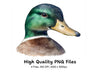 Mallard Duck Head Clipart Bundle