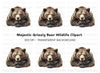 Grizzly Bear Majestic Brown Clipart Bundle