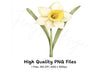 Daffodil Clipart Bundle