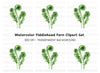 Fiddlehead Ferns Clipart Bundle
