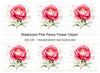 Vibrant Pink Peony Flower Clipart Bundle