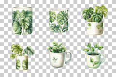 Indoor Plant Design Mug Wrap Bundle - CraftNest - Digital Crafting and Art