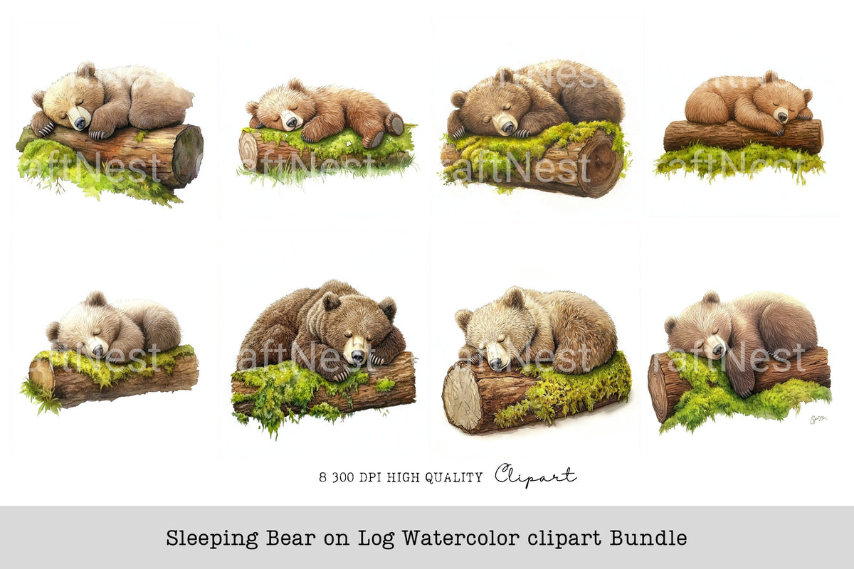 Sleeping Bear On Watercolor Clipart Log Book