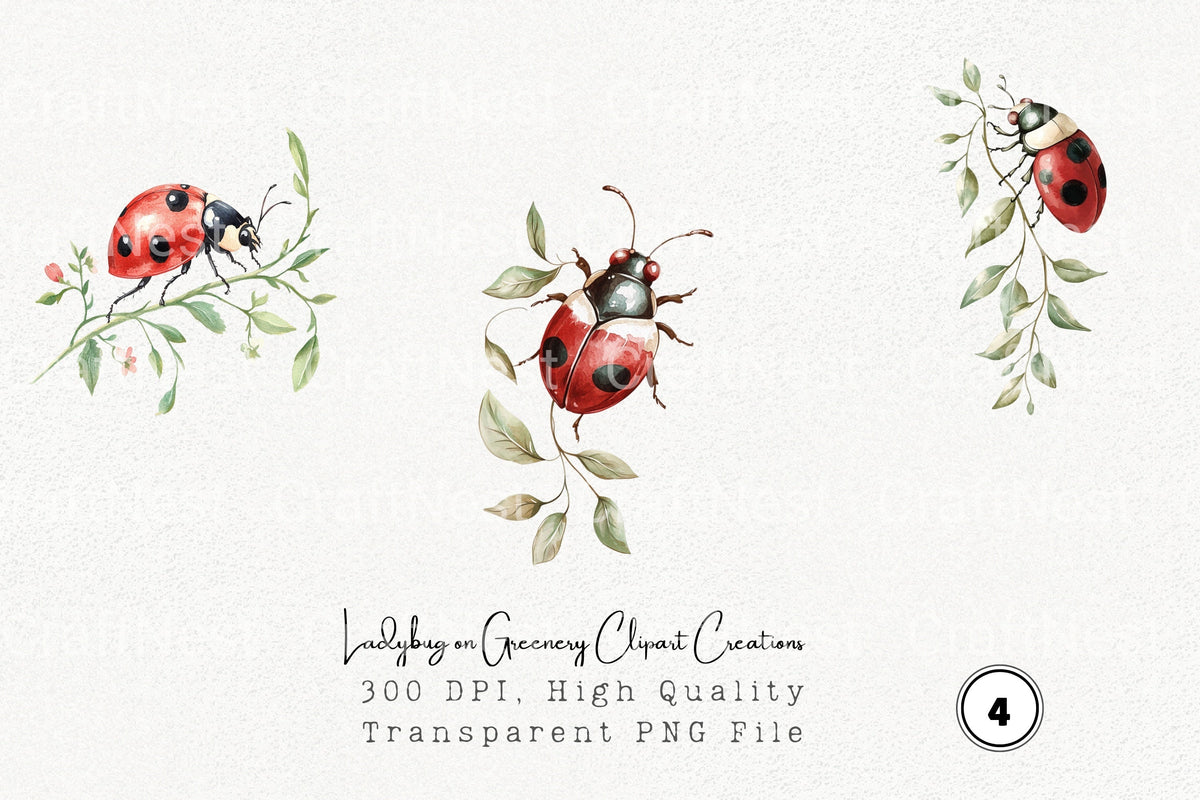Ladybug On Greenery Creations Clipart Bundle