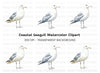 Seagull Clipart Bundle