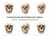 Cracked Human Skull Clipart Bundle