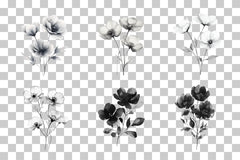 Black and White Floral Art Clipart Bundle - CraftNest - Digital Crafting and Art
