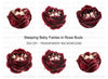 Sleeping Baby Fairies in Dark Roses Clipart Bundle