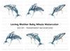 Mother and Baby Humpback Whale Clipart Bundle