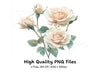 Elegant White Rose Clipart Bundle