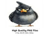Angry Black Birds Clipart Bundle