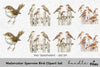 Sparrow Bird Clipart Bundle