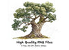 Oak Tree Clipart Bundle
