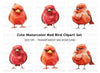 Cute Red Cardinal Bird Clipart Bundle