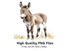 Cute Donkey Clipart Bundle