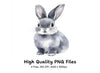 Cute Grey Bunny Rabbit Clipart Bundle