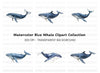 Blue Whales Clipart Bundle
