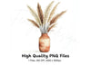 Pampas Grass in Terracotta Vase Clipart Bundle