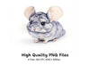 Chinchilla Clipart Bundle