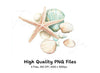 Seashells Starfish Clipart Bundle