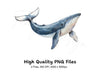 Whale Clipart Bundle