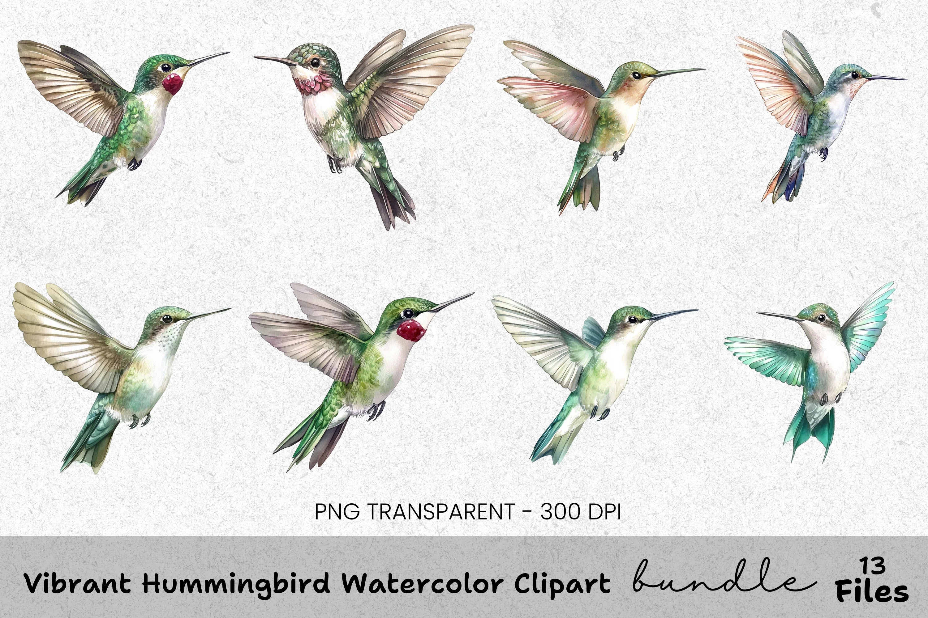 Vibrant Hummingbird Clipart Bundle