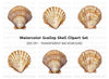 Scallop Shells Clipart Bundle