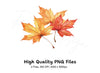 Autumn Maple Leaves Clipart Bundle