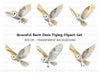 Barn Owl Flight Clipart Bundle