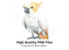 Cockatoo Clipart Bundle
