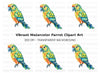 Green and Orange Parrot Clipart Bundle